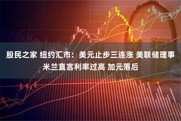 股民之家 纽约汇市：美元止步三连涨 美联储理事米兰直言利率过高 加元落后
