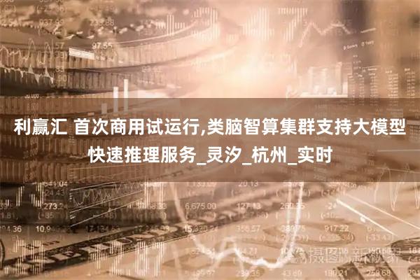 利赢汇 首次商用试运行,类脑智算集群支持大模型快速推理服务_灵汐_杭州_实时