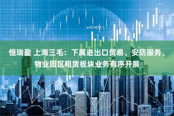 恒瑞盈 上海三毛：下属进出口贸易、安防服务、物业园区租赁板块业务有序开展
