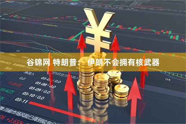 谷锦网 特朗普： 伊朗不会拥有核武器
